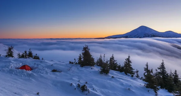 Paesaggi Fiabeschi Dell Inverno Montagne Carpazie Con Una Suggestiva Lattea — Foto Stock