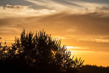 Alanları üzerinde gün batımı. Doğu Litvanya tarım peyzaj.