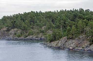 İskandinavya 'nın taş uçurumları. Stockholm takımadalarının kıyıları, İsveç.