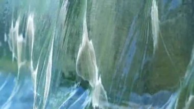 peterhof Saray çeşme