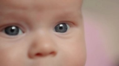 Baby looks away in embarrassment