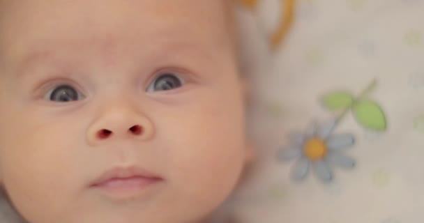 Curious baby in bed — Stockvideo