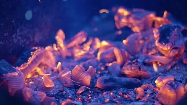 Искры и пепел в камине — стоковое видео