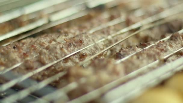 Filet de barbecue avec kebab — Video