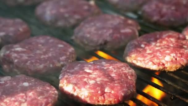 Chef cuisinier hamburgers — Video