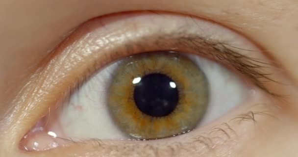 Woman's eye blinking — Stock Video