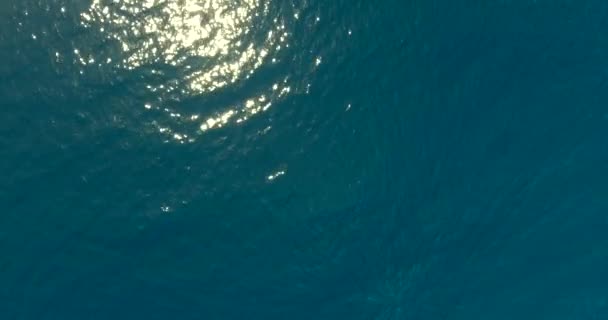 Όμορφη και βαθιά θάλασσα — Αρχείο Βίντεο