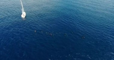 Mavi denizde yelkenli tekne