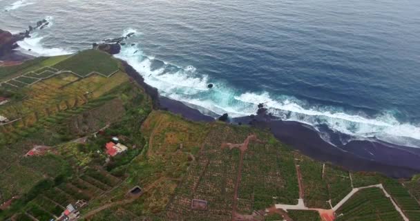 海滨、 海波浪 — 图库视频影像