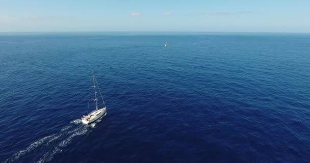 Mavi denizde yelkenli tekneler — Stok video