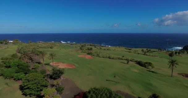 Paisaje natural de verano — Vídeo de stock