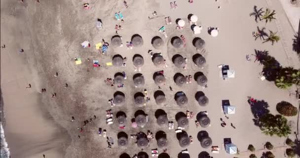 Pessoas na praia ensolarada — Vídeo de Stock