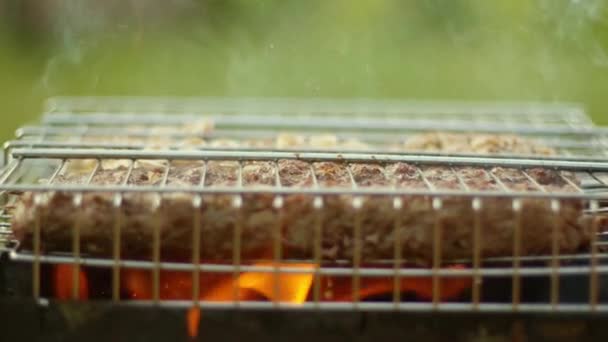 Сетка для барбекю с кебабом — стоковое видео