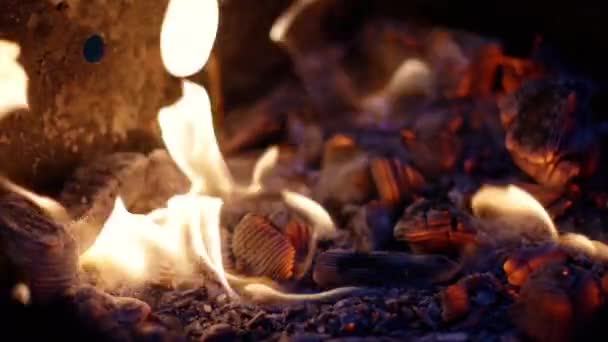 Flammen in einem Kamin — Stockvideo