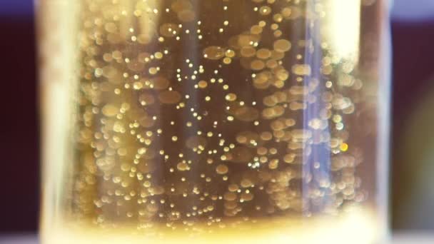 Пиво з бульбашками, що плавають вгору — стокове відео
