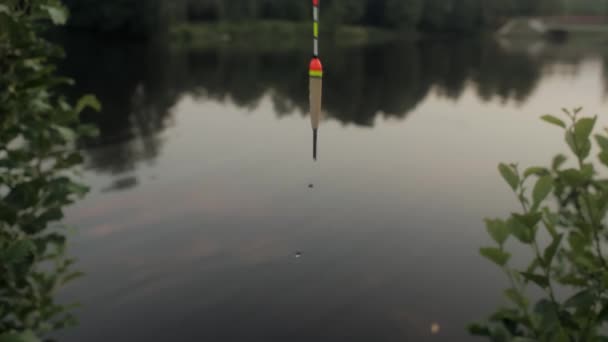 누군가 저녁 호수의 자연 풍경에 떠 있는 물고기를 낚아채는 물매를 던지는 모습 — 비디오