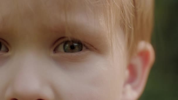 Extremo close-up deslizante tiro olhos verdes de Europeu bonito menino loira adorável cara de criança masculina — Vídeo de Stock