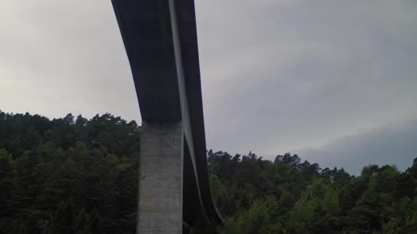 Bewegung unter riesiger Brücke, umgeben von dichtem Wald und üppigen Bäumen Brückenbau — Stockvideo