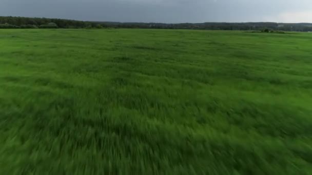 快速飞越绿草山谷，树木茂密，天空晴朗，空中射精 — 图库视频影像