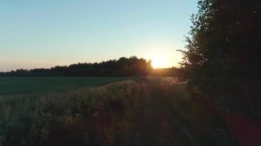 Yeşil çimen tarlaları ve parlak sarı gökyüzü ağaçları ile inanılmaz doğa manzarası uçuyor.