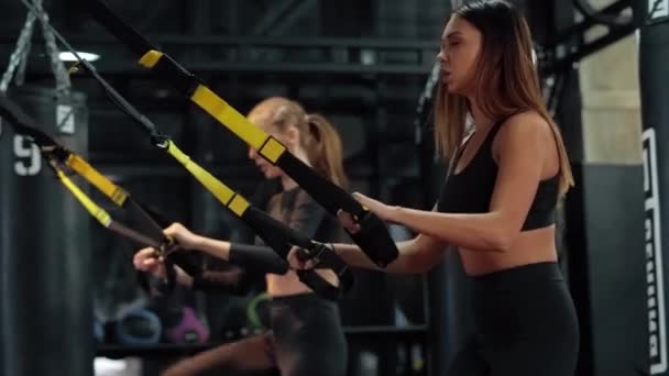 Dos mujeres atléticas entrenando en el gimnasio — Vídeos de Stock