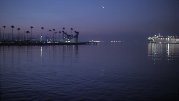 Akşamları, sakin su yüzeyinde uçan hava görüntüsü. Deniz kıyısındaki palmiye ağaçları gemide geziniyor. — Stok video