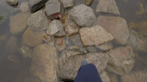 POV schoot mannelijke benen in sneakers gaan op natte stenen pad omgeven door plas bij tropisch regenwoud — Stockvideo