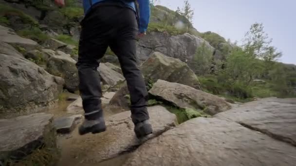 Tillbaka visa aktiv man går på stenar pöl på bergsklättring på naturliga berg regnskog — Stockvideo
