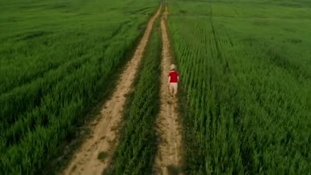 空中射击快乐的小男孩在绿草环绕的小径上奔跑，享受着自由 — 图库视频影像