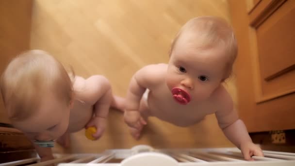 고무젖꼭지를 차고 집에서 함께 시간을 보내고 있는 귀여운 남자 아기 두 명 — 비디오