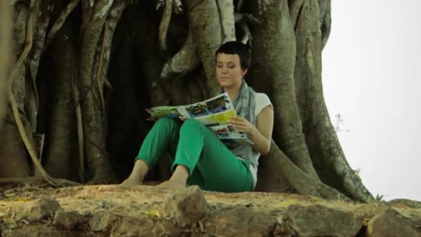 Girl and banyan tree — Stock Video