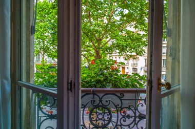 açık pencere ve çiçeklerle ağaç Paris