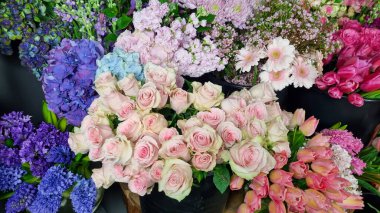 Çiçekçi dükkanındaki çeşitli taze çiçeklerin yakın plan görüntüsü, rengarenk çiçeklerle çevrili pastel pembe güller, ortancalar, papatyalar ve laleler