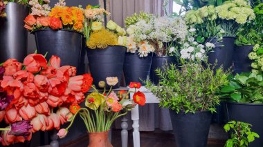Çiçekçi dükkanında siyah kovalarda sergilenen renkli taze çiçekler. Çiçekçide çeşitli canlı çiçekler pembe laleler, güller, beyaz çiçekler, yeşillik ve karışık mevsimlik bitkiler