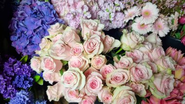 Çiçekçi dükkanındaki çeşitli taze çiçeklerin yakın plan görüntüsü, rengarenk çiçeklerle çevrili pastel pembe güller, ortancalar, papatyalar ve laleler