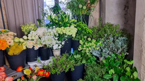 Çiçekçi dükkanında siyah kovalarda sergilenen renkli taze çiçekler. Çiçekçide çeşitli canlı çiçekler pembe laleler, güller, beyaz çiçekler, yeşillik ve karışık mevsimlik bitkiler