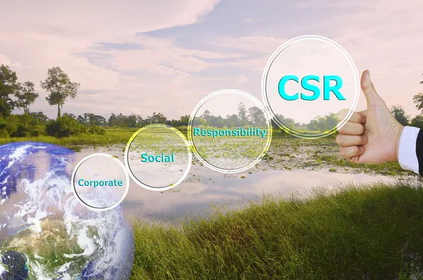 pressing like corporate social responsibility (CSR) and small de