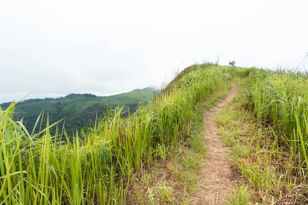 Paseo de la naturaleza en la montaña — Foto de Stock