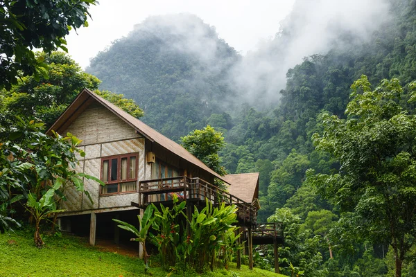 House in forest