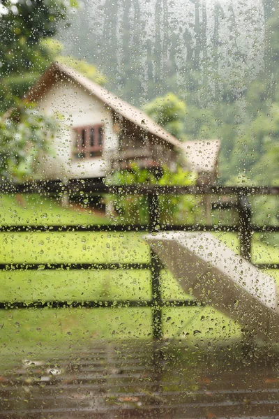 Druppel regen — Stockfoto