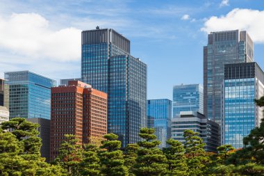 şehir içinde ağaç