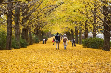 Showa Kenen Park