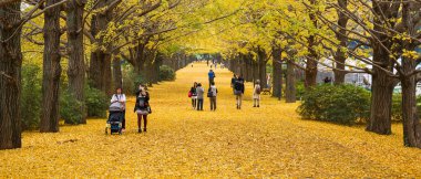 Showa Kenen Park