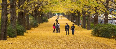 Showa Kenen Park