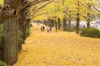 Showa Kenen Park