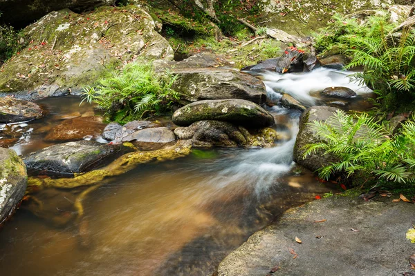 Waterfall in jungle