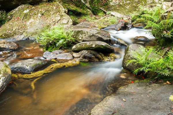 Waterfall in jungle