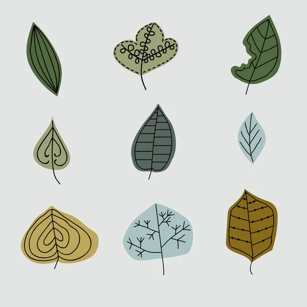 Yaprak, soyut yaprak doku, kalıbı tanımlar