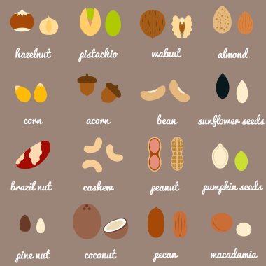 Tam deli ve tohum Icon set