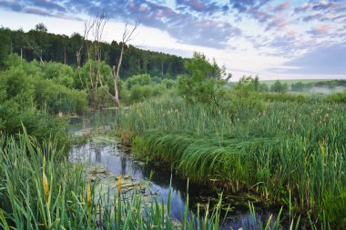 marsh ve Deresi üzerinde sabah gökyüzü